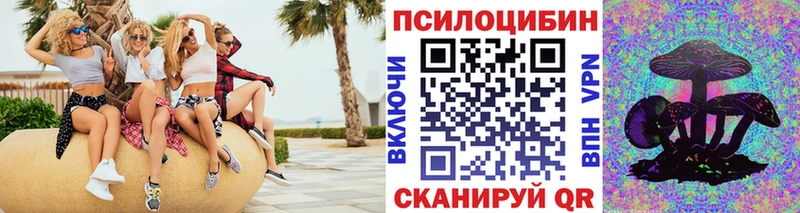 Купить Володарск Псилоцибиновые грибы MAGIC MUSHROOMS